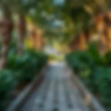 Serene Garden Pathway Serene garden pathway in Dubai